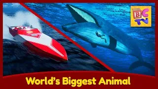 Thumbnail: World's Biggest Animal - The Blue Whale - Sea Creatures for Kids