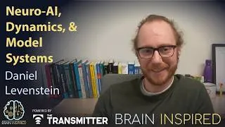 Thumbnail: BI 245 Dan Levenstein: Neuro-AI, Dynamics, and Model Systems