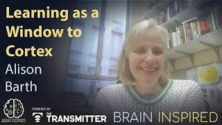 Thumbnail: BI 243 Alison Barth: Learning as a Window to Cortex