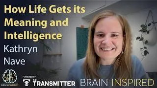 Thumbnail: BI 242 Kathryn Nave: How Life Gets its Meaning and Intelligence