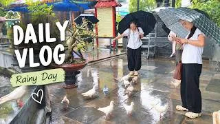 Thumbnail: DAILY VLOG | A Peaceful Rainy Day Feeding Pigeons & Enjoying the Little Moments with My Friends