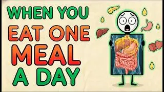 Thumbnail: What happens if you eat one meal a day? (Science Explained)
