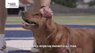 Thumbnail: An Athlete's Best Friend- Tyler Shough