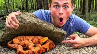 Thumbnail: Would You Enter a Venomous Snake-Infested Forest?