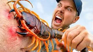 Thumbnail: Giant Centipede Bite and Worst Stings I’ve Ever Taken!