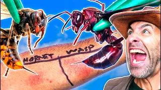 Thumbnail: STUNG by a Wasp & Hornet (Do Not Attempt)!