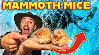 Thumbnail: Genetic Breakthrough! My Private Tour of a Top-Secret BioLab