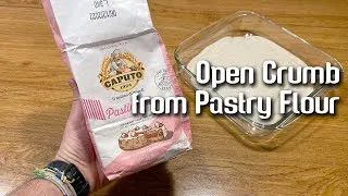 Thumbnail: Sourdough Open Crumb from Pastry Flour | by JoyRideCoffee