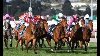 Thumbnail: Breaking News -  Robin Goodfellow's racing tips: Best bets for Friday, August 17