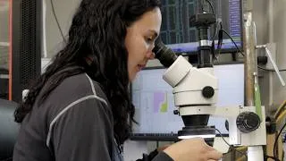 Thumbnail: Energy innovation is creating local jobs