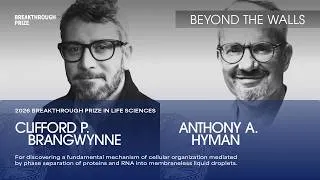 Thumbnail: BEYOND THE WALLS: Cliff Brangwynne and Anthony Hyman Discover a New Cellular Process