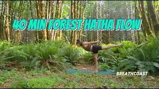 Thumbnail: 🌲 40 Minute Hatha Forest Flow | Ground, Breathe & Reconnect 🌿