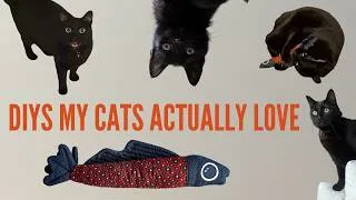 Thumbnail: DIYs My Cats LOVE - Crochet, Sewing, etc...