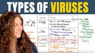 Thumbnail: MCAT Biology: Virus Types You Need to Know