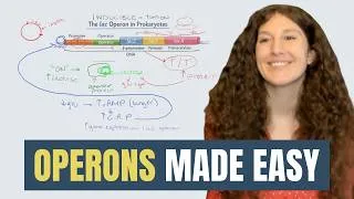 Thumbnail: MCAT Biology: Operons and Gene Regulation Explained