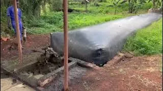 Thumbnail: Modern Farming in Uganda Africa