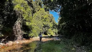 Thumbnail: New England Wilderness Walk - April 2026