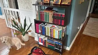 Thumbnail: The 2026 Bookshelf Tour!