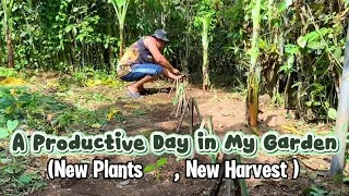 Thumbnail: A Productive Day in My Garden | New Plants 🌱 New Harvest