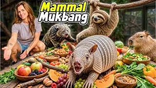 Thumbnail: I Made a GIANT Feast For All Our Mammals!