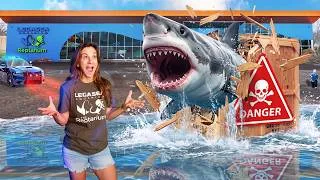 Thumbnail: We Bought Another SHARK!
