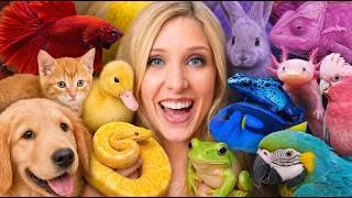 Thumbnail: I Adopted Mystery Animals In One Color | Brianna