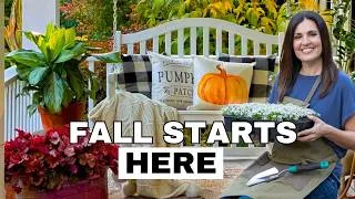 Thumbnail: It’s Too Early for Mums: What I’m Planting Instead