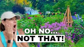 Thumbnail: Why I’m Moving My Zinnias Next Year 🌸