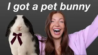 Thumbnail: Getting a pet bunny! pick up my holland lop rabbit & bunny supplies haul! Setting up vlog