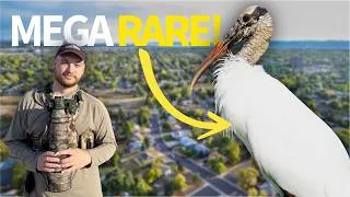 Thumbnail: I Tracked Down the GIANT South American Bird Roaming SoCal