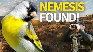 Thumbnail: I FINALLY Found This SoCal Bird After YEARS of Searching