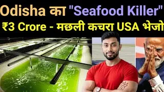 Thumbnail: मछलियों के कचरे से ₹3 Crore/Year - This Indian Scientist Makes Eco-medicine, sells to USA & Israel