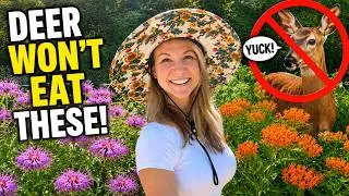 Thumbnail: 11 Truly Deer Resistant Native Plants (That Deer Actually Avoid)