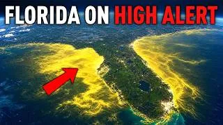 Thumbnail: 1 MINUTE AGO: Something Alarming Just Changed in the Ocean Around Florida