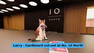 Thumbnail: Larry, The Downing Street Cat - Larry’s Doppelgänger! 😹