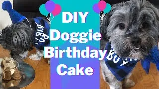Thumbnail: Easy DIY Doggie Birthday Cake