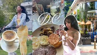 Thumbnail: Spend a day in a new city *Washington DC*💐