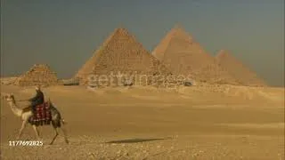 Thumbnail: Aaron Kenny- Desert Caravan (Dromedary tribute)