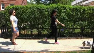 Thumbnail: Broad City Ep9 - Dog Sitting