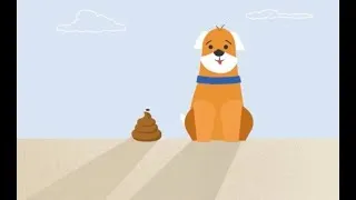 Thumbnail: ‘Leave Only Paw Prints’