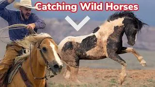 Thumbnail: Catching Wild Horses on the Navajo Nation!