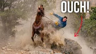 Thumbnail: Training Colts While Packing Salt in Utah's High Desert (GONE WRONG)