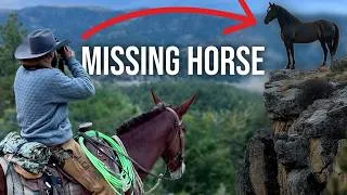 Thumbnail: We Lost Our Horse In The Mountains...