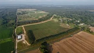 Thumbnail: Blackwater: Walk-In-Ready Duck Hunting Property In Summerton, SC w/ 110 +/- Acres Of Impoundments!