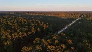 Thumbnail: Jasmin Hollow: 1059.81 +/- Acres In Jasper Co, SC Adjacent To The World Renowned Congaree Golf Club