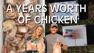 Thumbnail: Picking Up Our 550+ Pounds of Chicken! What It REALLY Looks Like to Raise Meat Chicken!