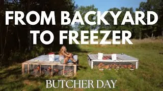 Thumbnail: From BACKYARD to FREEZER! It’s Butcher Day!
