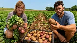 Thumbnail: We Hit The Potato JACKPOT!