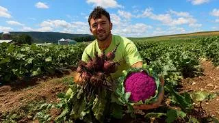 Thumbnail: We Grew Vegetables That Don't Look REAL!