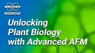 Thumbnail: Integrated Atomic and Fluidic Force Microscopy for High-Resolution Imaging | Bruker Webinar